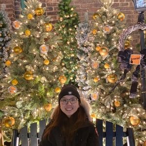 Meet your Posher, Hoang chieu anh